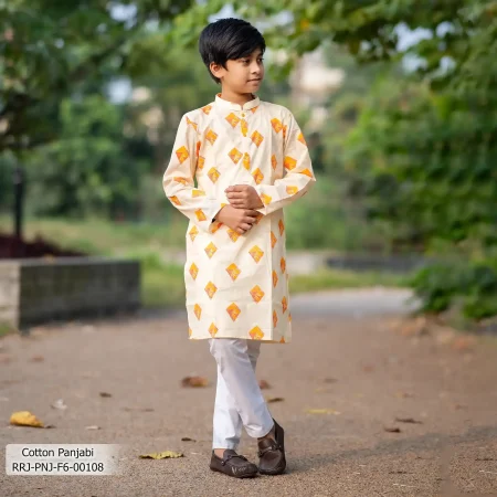 Boy's Panjabi