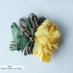 Rang Bangladesh NBS-RJ-G-BND-E1-ET-25001 (3)