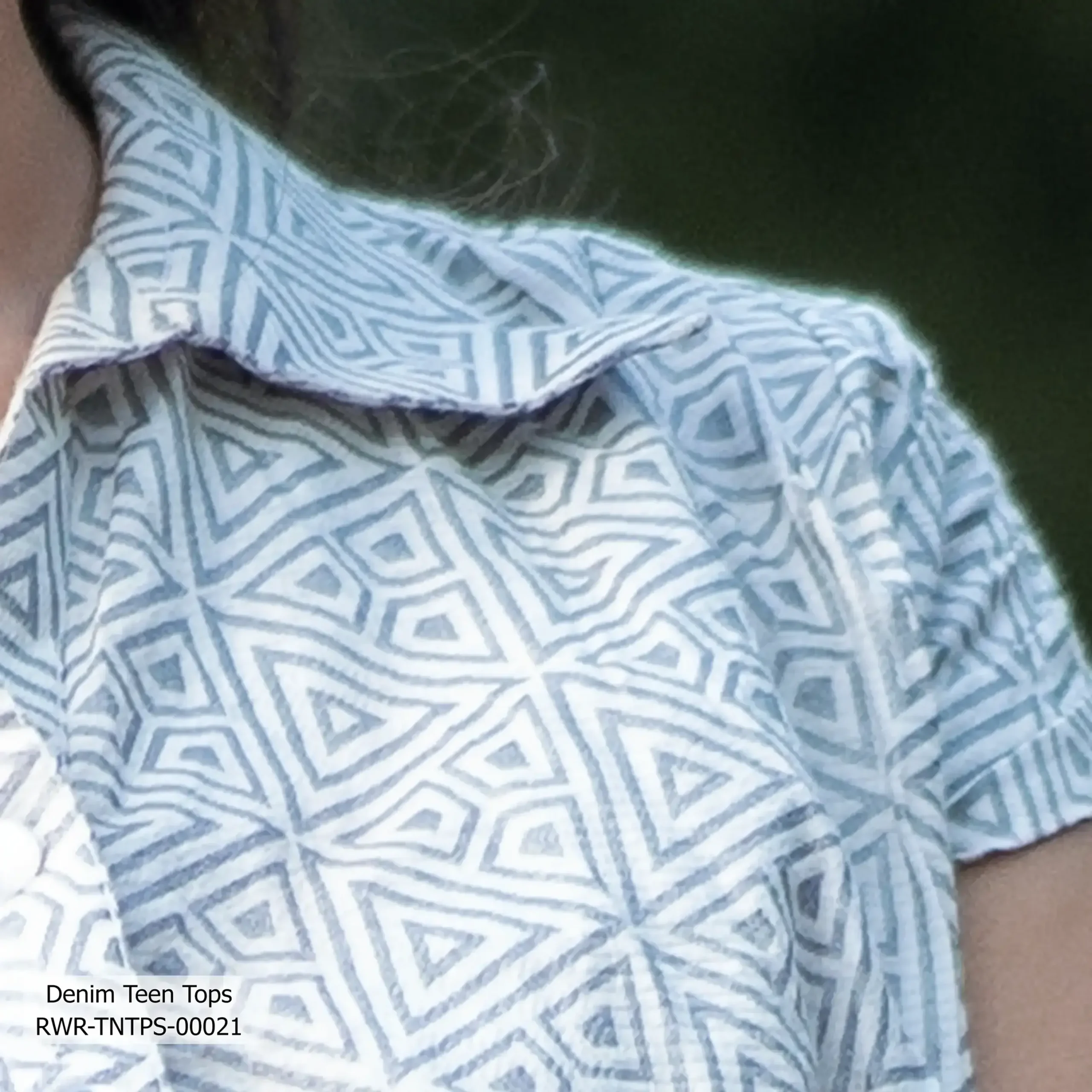 RWR-TNTPS-00021 (2)z